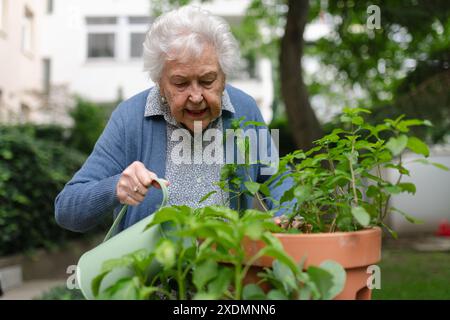 Ritratto di una donna anziana che si prende cura delle piante in giardino. Innaffiare le piantine con acqua piovana raccolta. Foto Stock