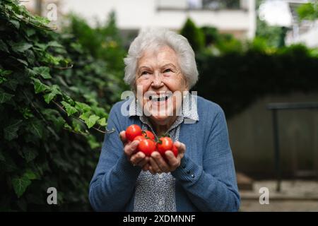 Una donna anziana orgogliosa mostra il proprio raccolto di pomodori. Tiene in mano pomodori rossi maturi, appena raccolti dal giardino. Foto Stock