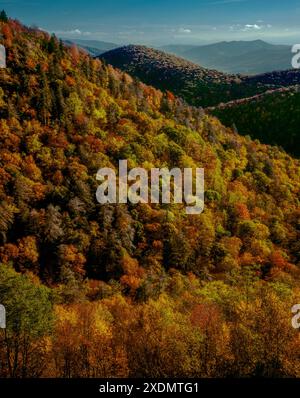 Colore di autunno, Est forcella Piccione si affacciano sul fiume, Blue Ridge Parkway, Pisgah National Forest, Carolina del Nord Foto Stock