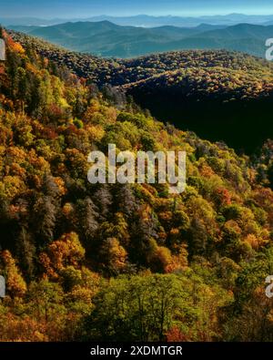 Colore di autunno, Est forcella Piccione si affacciano sul fiume, Blue Ridge Parkway, Pisgah National Forest, Carolina del Nord Foto Stock