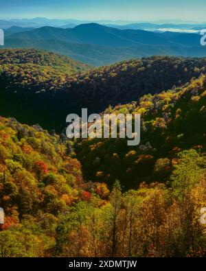 Colore di autunno, Est forcella Piccione si affacciano sul fiume, Blue Ridge Parkway, Pisgah National Forest, Carolina del Nord Foto Stock