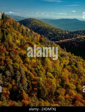 Colore di autunno, Est forcella Piccione si affacciano sul fiume, Blue Ridge Parkway, Pisgah National Forest, Carolina del Nord Foto Stock