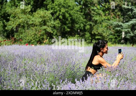 Odessa, Ucraina. 23 giugno 2024. Partecipante allo Yoga Summer Fest 2024 visto scattare foto nel campo di lavanda sul territorio del Giardino Botanico dell'Università Nazionale di Odessa dal nome di Ilya Ilyich Mechnikov. Yoga Summer Fest 2024 si è tenuto sul territorio del Giardino Botanico dell'Università Nazionale di Odessa dal nome di Ilya Ilyich Mechnikov, l'obiettivo è quello di divulgare lo stile di vita sano e le pratiche di mediazione. (Foto di Viacheslav Onyshchenko/SOPA Images/Sipa USA) credito: SIPA USA/Alamy Live News Foto Stock