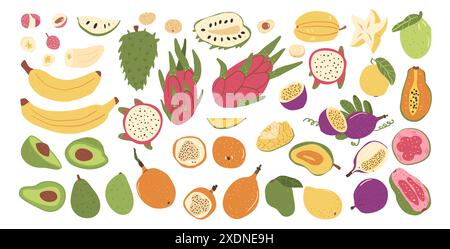 Frutti tropicali isolati su sfondo bianco. Set di dolci esotici illustrazione della collezione piatta disegnata a mano da Vector. Illustrazione Vettoriale