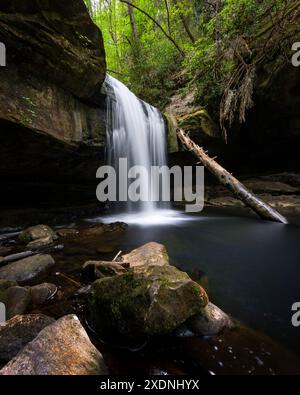 Cascate Dog Slaughter in Kentucky Foto Stock