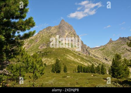 Uno sguardo attraverso i cedri a una ripida salita lungo un ripido passo a strapiombo di scogliere rocciose in una soleggiata giornata estiva. Peak and Bird Pass, Ergaki Natural P Foto Stock