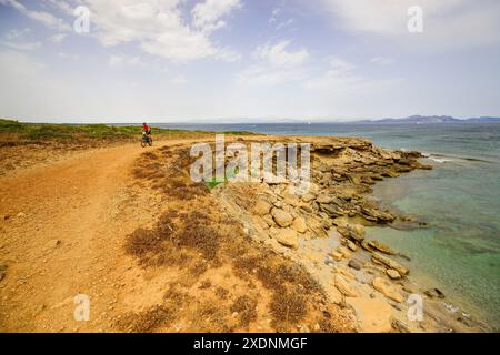 Canoni da spiaggia. Colonia di Sant Pere. Artà. Maiorca. Isole Baleari. Spagna. Foto Stock