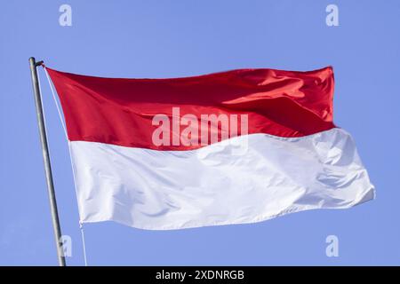 17 agosto 2009, Giacarta, Indonesia: Bandiera indonesiana alla festa dell'Indipendenza ad Ancol, Giacarta, Indonesia. Foto Stock