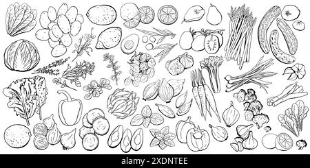 Contorno verdure e frutta. Illustrazione vettoriale con linee nere su bianco. Broccoli, cipolla, porro, pomodoro, aglio, carote, pere, peperoni Illustrazione Vettoriale