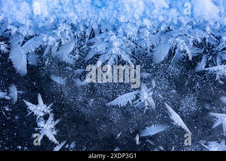 Un bel ghiaccio crepato sulla superficie ghiacciata del lago durante l'inverno a Latva. Il freddo scenario dell'Europa settentrionale. Foto Stock