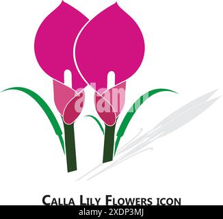 fiori di giglio di calla su sfondo bianco Illustrazione Vettoriale