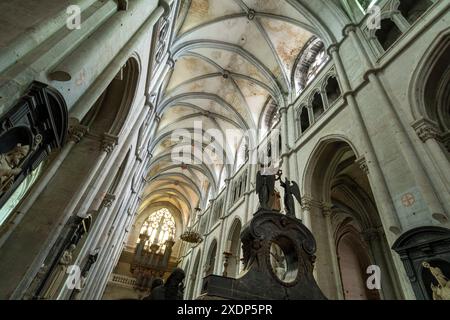 Saint-Antoine l'Abbaye etichettato Les Plus Beaux Villages de France. Interno della chiesa abbaziale costruita dal XII al XV secolo. Isere. Errore Foto Stock