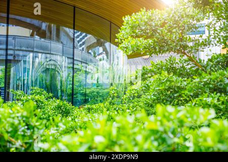 Città verde, moderno edificio in vetro con albero Park Green. Uso di aria pulita per uffici urbani e risparmio energetico. Foto Stock