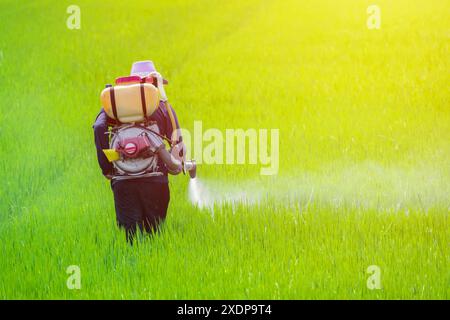 Agricoltore che spruzza pesticidi o fertilizzanti per terreno nel campo agricolo. Personale dell'azienda agricola che utilizza il controllo chimico dei parassiti pericolosi. Foto Stock