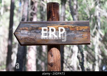 Parola ERP di Enterprise Resource Management scritta su un pezzo di un palo di legno sullo sfondo di una foresta Foto Stock