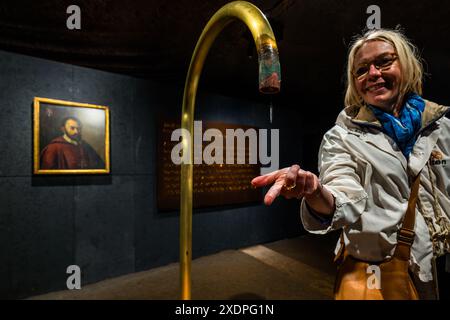 Salzwelten Mining. Estrazione sotterranea di sale. Gratzer, Hallein, Salisburgo, Austria Foto Stock