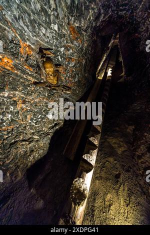 Salzwelten Mining. Estrazione sotterranea di sale. Gratzer, Hallein, Salisburgo, Austria Foto Stock