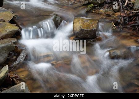 Piccola cascata sul torrente di montagna, pietra bagnata nel torrente Foto Stock