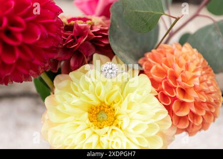 Primo piano di un anello di diamanti su un vivace bouquet dahlia Foto Stock