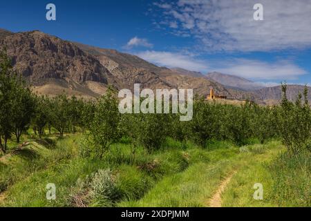 Una moschea su una collina sopra un meleto nella Happy Valley. AIT B Foto Stock