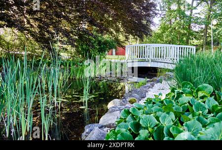 Pittoresco scenario di serenità e bellezza, caratterizzato da un piccolo ponte di legno bianco che si arrocca graziosamente su un tranquillo laghetto in un lussureggiante giardino verde Foto Stock