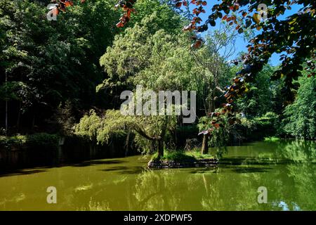 Piccola isola con salici piangenti che crescono su un lago che riflette la foresta verde in una soleggiata giornata estiva Foto Stock