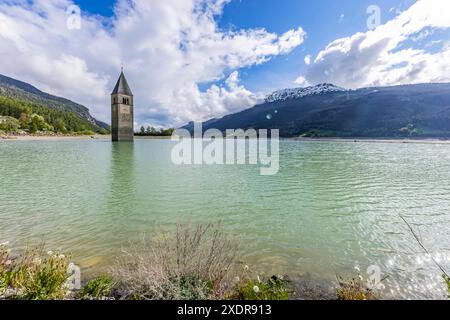Kirchturm der alten Pfarrkirche St. Katharina. Der Glockturm ragt aus dem Reschensee, der als Stausee aufgestaut worden ist. // 25.05.2024: Graun im Vinschgau, Südtirol, Itallien, Europa c Arnulf Hettrich / Fnoxx - Veroeffentlichung nur gegen Honorar, Urhebervermerk und Belegexemplar. Kontakt: Arnulf Hettrich, Bildagentur Fnoxx, Zeppelinstrasse 7, 70193 S t u t g a r t , D e u t s c h l a n d , Telefon 49 173 3189170 und 49 711 291260, hettrichfnoxx.de Bankverbindung: IBAN: DE86 6005 0101 0005 9259 84 - BIC: SOLADEST600 - Ust.ID-Nr. DE 812 057 385 beim Finanzamt Stuttgart 1 --- www.freelens. Foto Stock