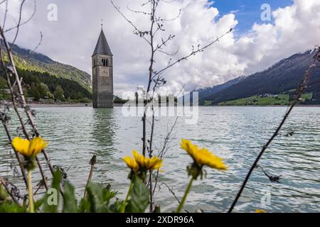 Kirchturm der alten Pfarrkirche St. Katharina. Der Glockturm ragt aus dem Reschensee, der als Stausee aufgestaut worden ist. // 25.05.2024: Graun im Vinschgau, Südtirol, Itallien, Europa c Arnulf Hettrich / Fnoxx - Veroeffentlichung nur gegen Honorar, Urhebervermerk und Belegexemplar. Kontakt: Arnulf Hettrich, Bildagentur Fnoxx, Zeppelinstrasse 7, 70193 S t u t g a r t , D e u t s c h l a n d , Telefon 49 173 3189170 und 49 711 291260, hettrichfnoxx.de Bankverbindung: IBAN: DE86 6005 0101 0005 9259 84 - BIC: SOLADEST600 - Ust.ID-Nr. DE 812 057 385 beim Finanzamt Stuttgart 1 --- www.freelens. Foto Stock