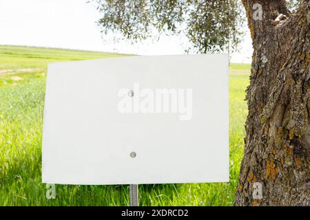 Cartello vuoto, grande, con due viti e bastoncino di fissaggio accanto all'albero. Foto Stock