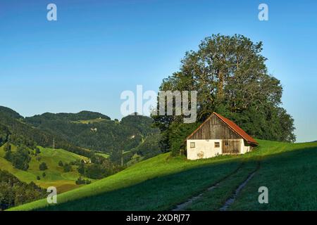Monastero di Beinwil, Svizzera, Beinwil, Oberbeinwil, Soletta, Schwarzbubenland, Passwang, ortodosso Foto Stock
