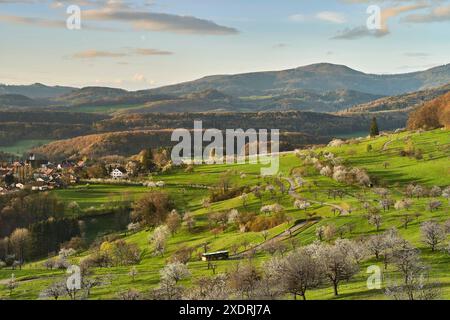 Primavera a Schwarzbubenland vicino a Nuglar e St. Pantaleon Foto Stock