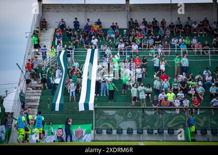 Santa Cruz do sul, Brasile. 24 giugno 2024. RS - SANTA CRUZ DO SUL - 06/23/2024 - BRASILEIRO D 2024, AVENIDA x BRASIL DE PELOTAS - tifosi dell'Avenida durante una partita contro il Brasil de Pelotas allo stadio Eucaliptos per il campionato brasiliano D 2024. Foto: Vinicius Molz Schubert/AGIF credito: AGIF/Alamy Live News Foto Stock