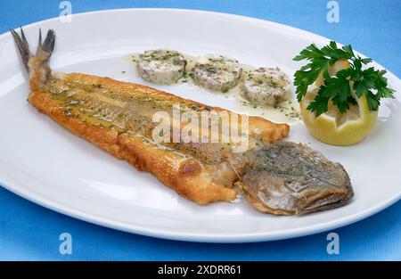 Pescadilla empanada con Mantequilla de Anchoas (Pescadillas: Merluza, Harina, Huevo, Pan rallado, Aceite de oliva, Mantequilla, Escalonias, Anchoas, Zu Foto Stock