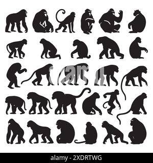 Set sagome di animali scimmiati. Illustrazione isolata vettoriale Illustrazione Vettoriale