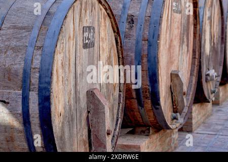 Primo piano di botti di legno di vino in fila all'esterno di un'azienda vinicola Foto Stock