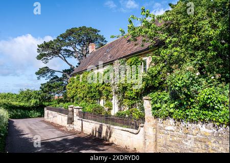 Wisteria e rose da arrampicata con vecchie ringhiere in metallo all'esterno della canonica di Somerset, costruita con pietra calcarea locale risalente al XVII secolo, Inghilterra sud-occidentale, Regno Unito Foto Stock