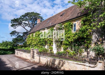 Wisteria e rose da arrampicata con vecchie ringhiere in metallo all'esterno della canonica di Somerset, costruita con pietra calcarea locale risalente al XVII secolo, Inghilterra sud-occidentale, Regno Unito Foto Stock