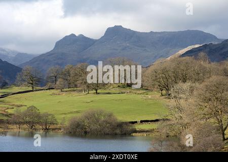 I Langdale Pikes vedevano da vicino Loughrigg Tarn il Lake District in Inghilterra Foto Stock