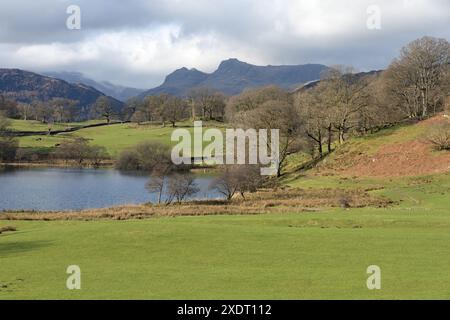 I Langdale Pikes vedevano da vicino Loughrigg Tarn il Lake District in Inghilterra Foto Stock