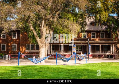 Davis, California USA - 23 marzo 2017: Studenti universitari che si rilassano presso le stazioni delle amache di fronte alla South Hall della UC Davis. Foto Stock