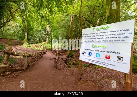 Puzzlewood, Perrygrove Road, Coleford, Forest of Dean, Gloucestershire, REGNO UNITO Foto Stock