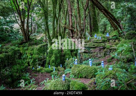 Puzzlewood, Perrygrove Road, Coleford, Forest of Dean, Gloucestershire, REGNO UNITO Foto Stock