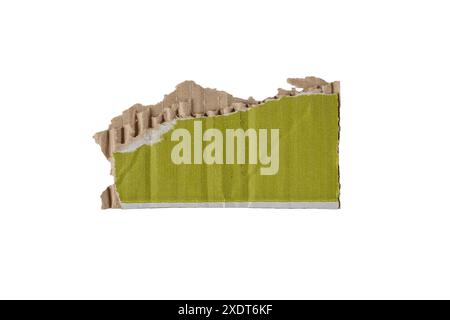 Rottami di cartone riciclato verde isolati su bianco. Elemento di design in carta da imballaggio grunge. Frammento di contenitore per spedizioni spedite. Lacerazione ondulata c Foto Stock