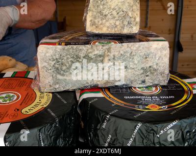 OVIEDO, SPAGNA - 10 MAGGIO 2024: Cabrales, latte crudo, sagoma blu, sezione trasversale della Fiera dell'Ascensione a Oviedo, Asturie, Spagna. Queso de Cabral Foto Stock