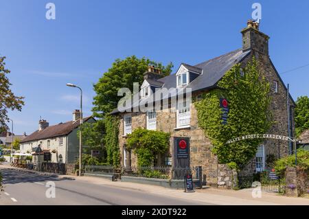 Llys Meddyg Hotel and Restaurant, con il Golden Lion Public House sullo sfondo. Newport, Pembrokewshire, Galles. REGNO UNITO. Foto Stock