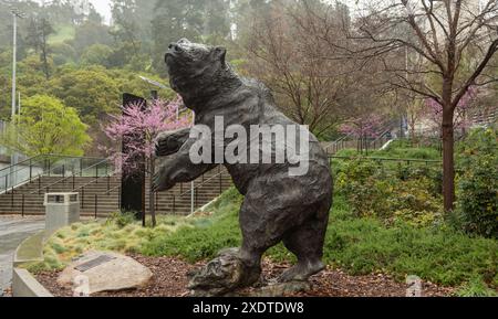 Berkeley, California USA - 24 marzo 2017: Statua della mascotte UC Berkeley Golden Bear scolpita da Douglas Van Howd e situata fuori dal California Memorial Foto Stock