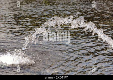 Getto d'acqua proveniente da una fontana congelata a mezz'aria con un'elevata velocità dell'otturatore. Foto Stock