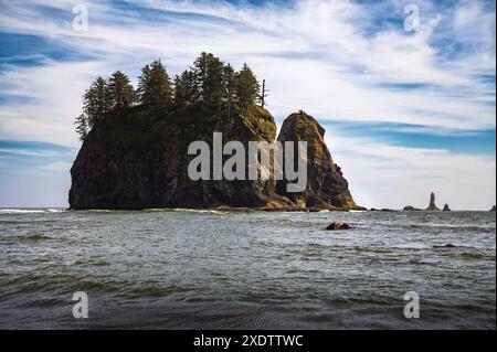 Sea Stacks e costa rocciosa a la Push, Second Beach, Washington State Foto Stock
