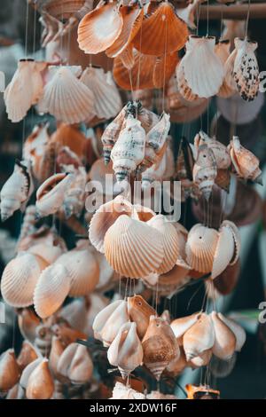 Pacchetto di conchiglie colorate. Vari tipi di decorazione domestica dalle conchiglie di mare. Souvenir e regali in vendita dalla Grecia, Europa. Ornamenti di Foto Stock