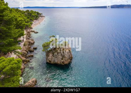 Fotografia aerea. Un pino solitario cresce su una roccia. Brela, famosa località turistica della Croazia Foto Stock